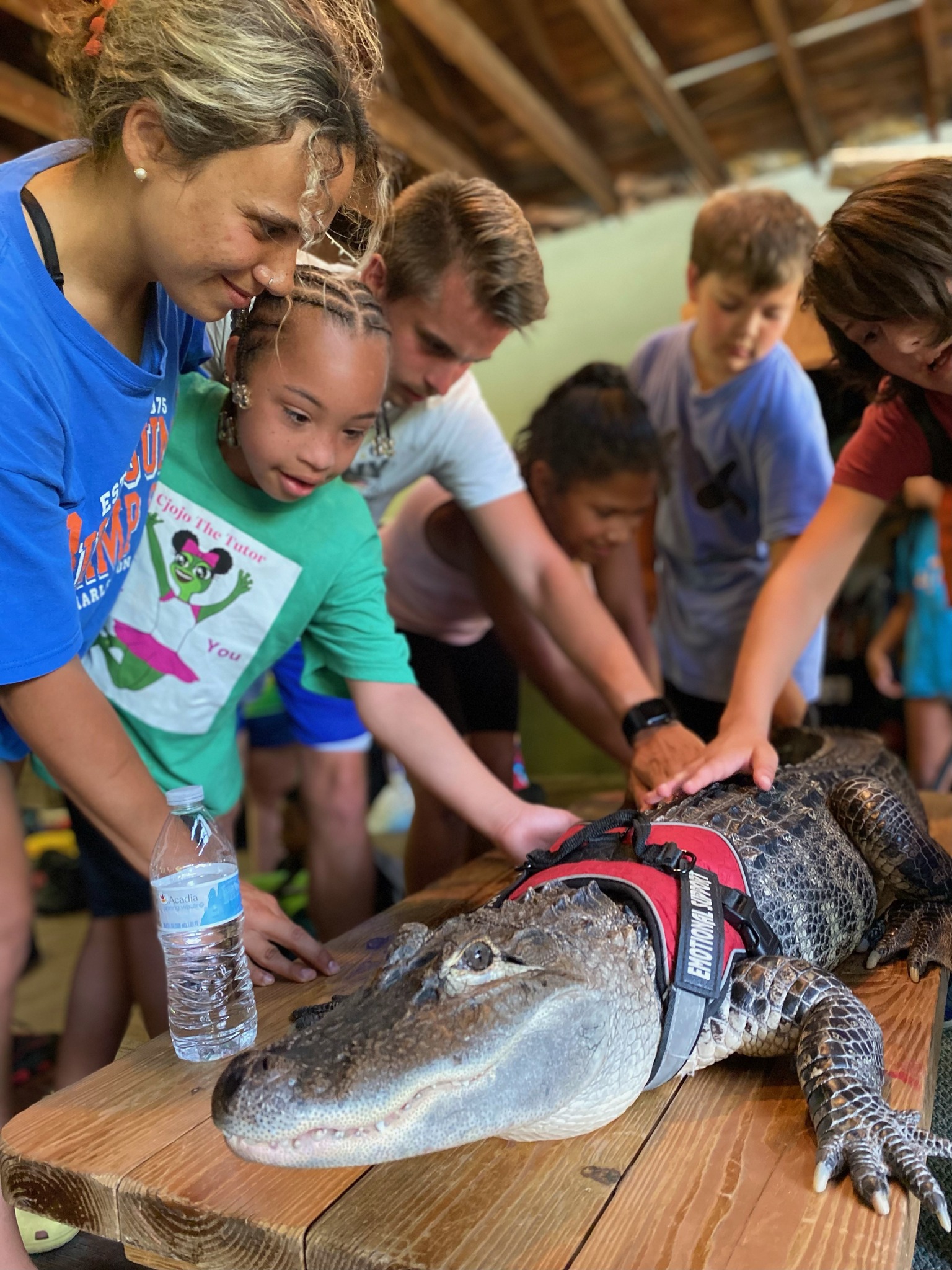 A group of children petting the back of an alligator wearing an emotional support harness at Camp Cann-Ed-On